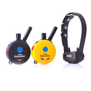 et-300 Mini Educator Dog Training e-Collar System - 2 remotes!